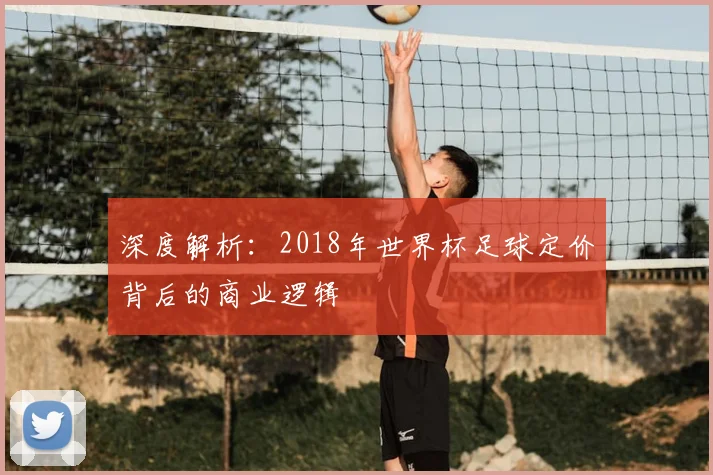 深度解析:2018年世界杯足球定价背后的商业逻辑
