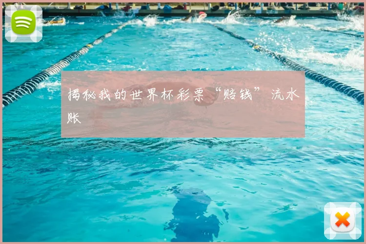 揭秘我的世界杯彩票“赔钱”流水账