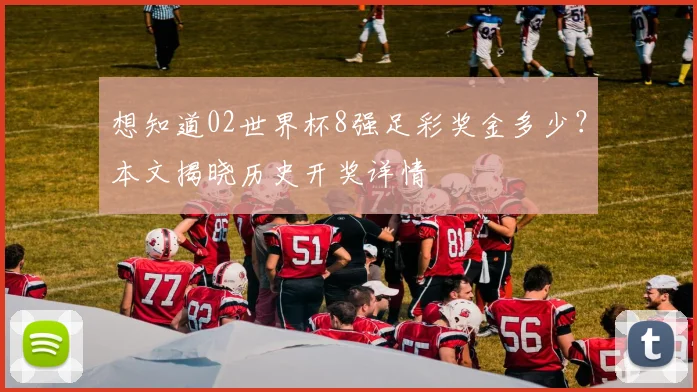 想知道02世界杯8强足彩奖金多少？本文揭晓历史开奖详情