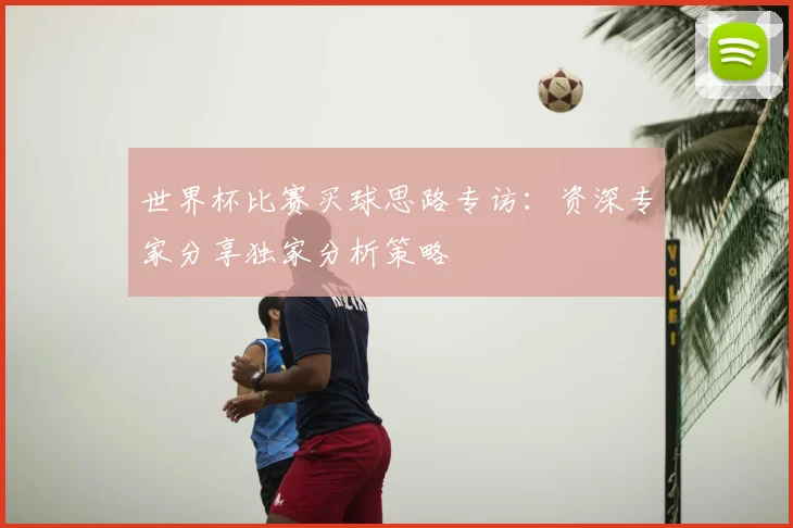 世界杯比赛买球思路专访：资深专家分享独家分析策略