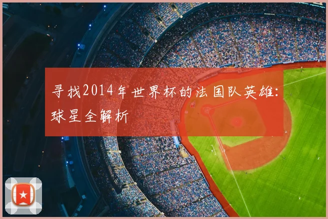 寻找2014年世界杯的法国队英雄：球星全解析