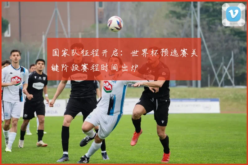 国家队征程开启:世界杯预选赛关键阶段赛程时间出炉