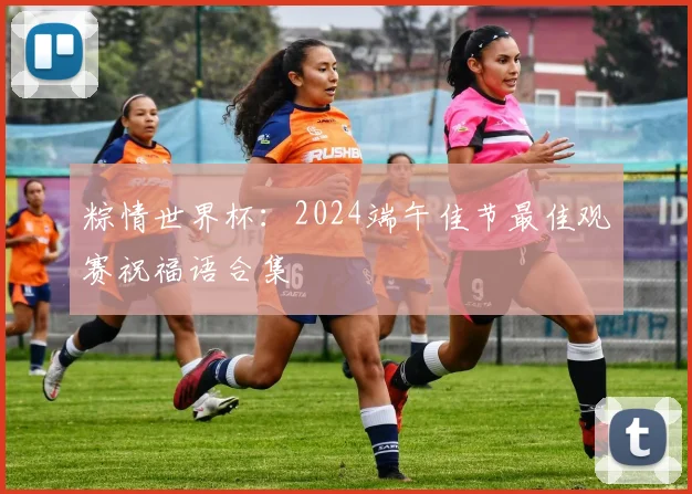 粽情世界杯：2024端午佳节最佳观赛祝福语合集