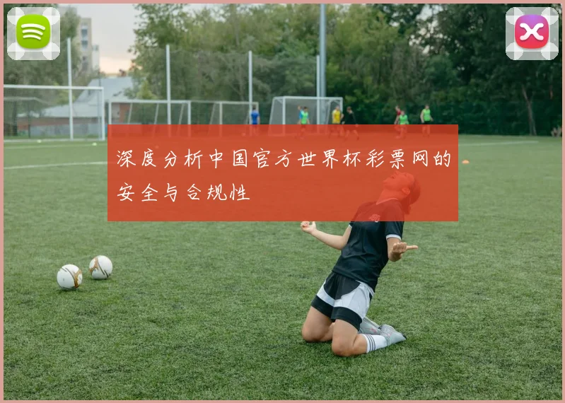深度分析中国官方世界杯彩票网的安全与合规性