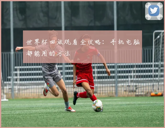 世界杯回放观看全攻略：手机电脑都能用的方法