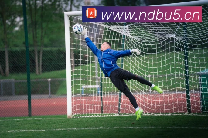 乐鱼官网网页版入口APP 高清赛事图